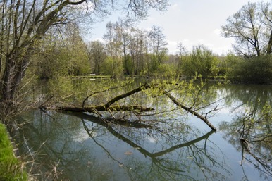 Etangs Valère 2.jpg