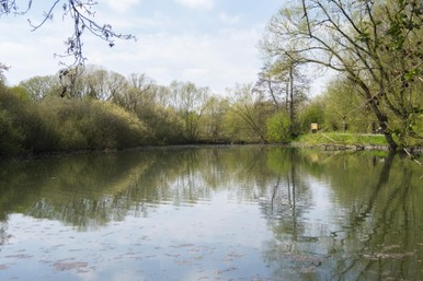 Etangs Valère.jpg