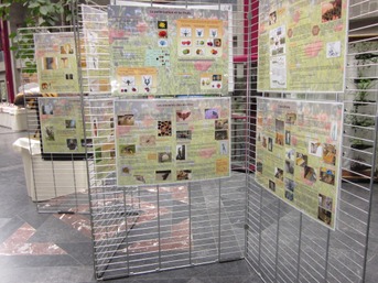 Semaine de l’abeille expo .JPG