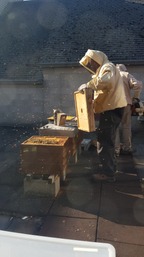 visite apiculteur Vincenzo Chiavetta.jpg