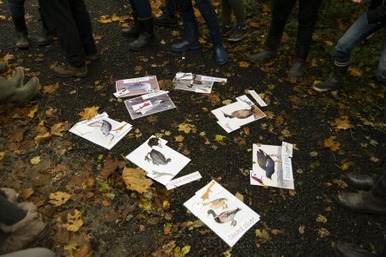Classes " nature "-4.jpg