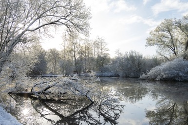 Etangs Valère.jpg