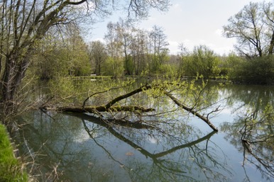 Etangs Valère.jpg