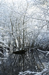 Etangs Valère.jpg