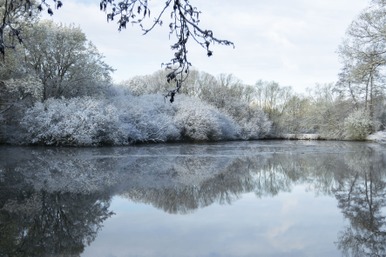 Etangs Valère.jpg