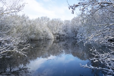 Etangs Valère.jpg
