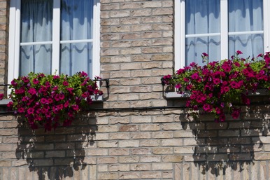façade fleurie.JPG